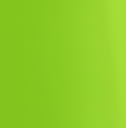 Avery SWF tropical vacation green gloss ...