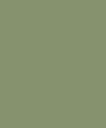 SOIF interior SG1186 basic solid forest ...