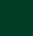 Siser PS Extra Easyweed N0010 dark green...